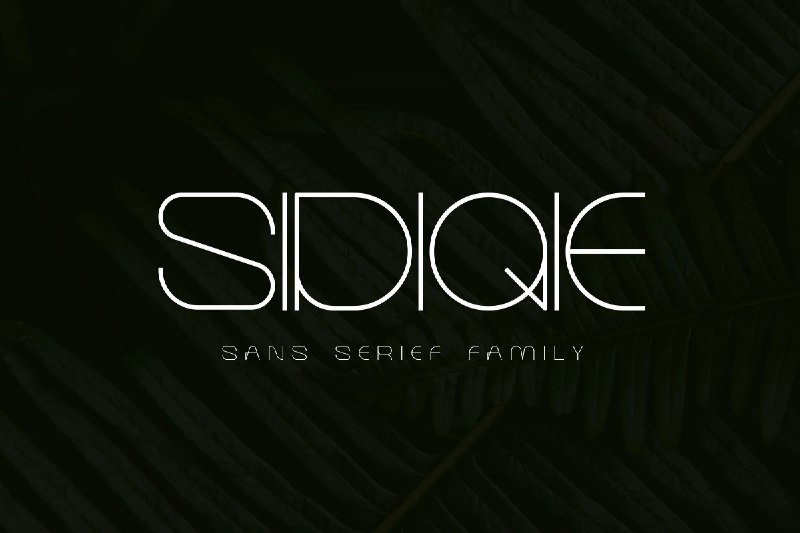 [Сreativefabrica] Sidiqie Family_0.jpg